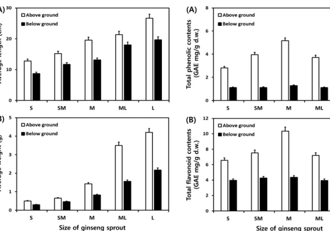 Fig. 3  Comparison of total phenolic and total flavonoid contents of ginseng sprout (above and below grounds) according to different sizes.