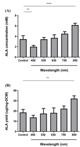 Fig. 3A 는  R.  sphaeroides가  최대  성장  시간일때  조사한 LED 빛의  파장에  따른  광합성세균  R.  sphaeroides에서  생산되는 ALA 의  농도를  보여주는  그래프이다