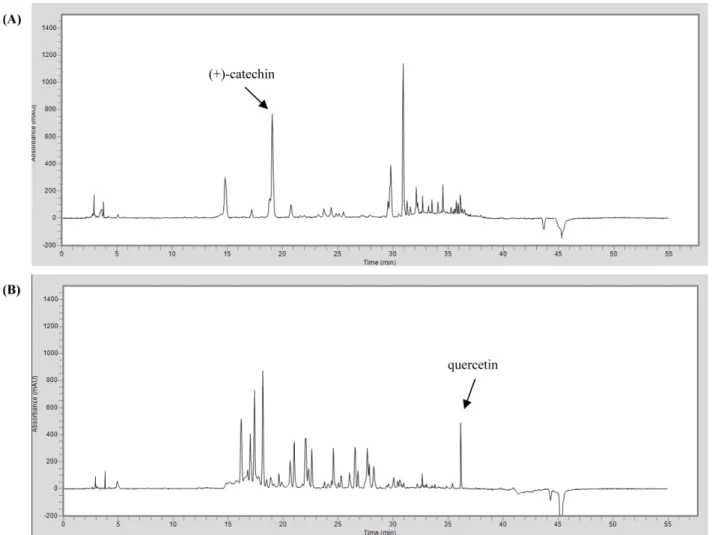 Fig. 5 High-performance liquid chromatography analyses of the ethanol extracts of FMS (A) and EAT (B) containing (+)-catechin and quercetin Table 1 The contents of (+)-catechin and quercetin in tree sprouts