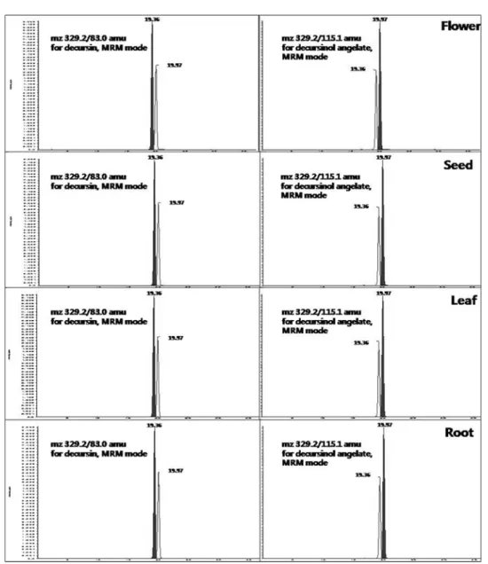 Fig. 4. Representative Chromatogram of decursin and decursinol angelate in different darts of  A