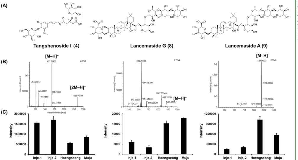 Fig. 3  The chemical structures of marker metabolites, tangshenoside I (3), lancemaside G (8), and lancemaside A (9), for selecting marker substances of main producing area of Codonopsis lanceolata in Korea (A), and the intensities of abundance peaks detec