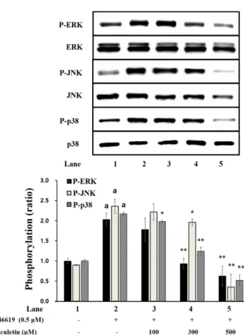 Fig. 3 Esculetin affecting PI3K/Akt phosphorylation. Western blot was done as stated in the section, “Materials and Methods”