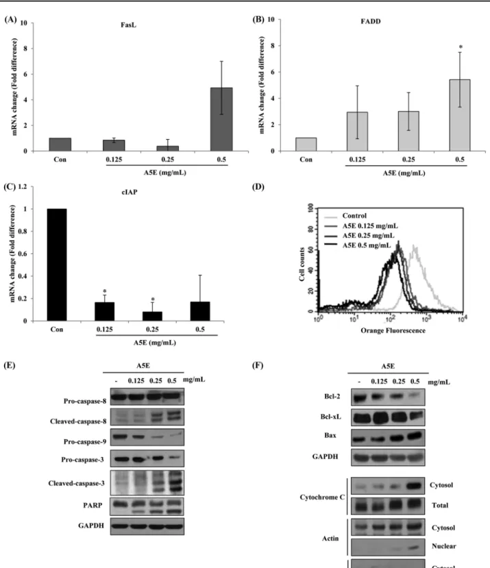 Fig. 5 Effects of A5E on apoptosis signaling using NCI-H460 cells. NCI-H460 cells were incubated with A5E for 24 h