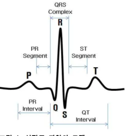 Fig 1. Modeling of electocardiography