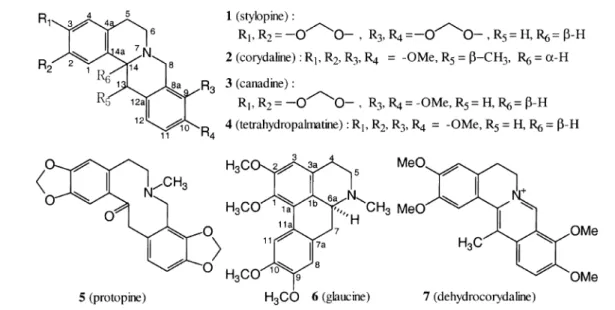 Table 2. The residual activity of GABA-T after the treatment with alkaloids isolated from Corydalis tuber