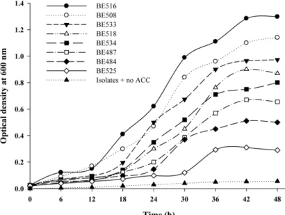 Fig. 2 Production of ACC deaminase from selected isolates (growth on ACC as sole nitrogen source)