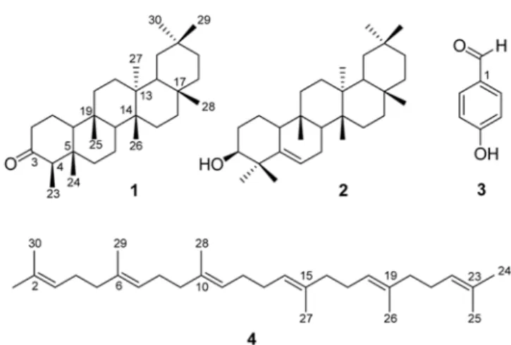 Fig. 1. Structures of compounds 1-4 from  S. borealis .