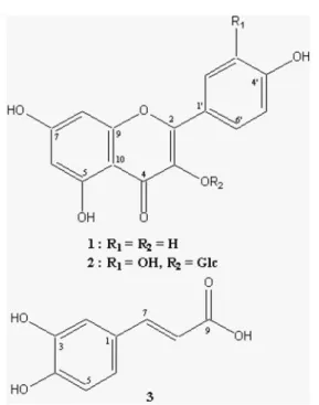 Fig. 1. Chemical structures of the  Erigeron annuus