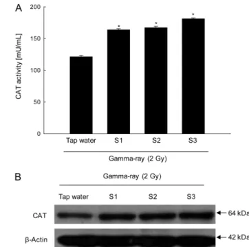 Fig. 1 Effect of S1, S2 and S3 on SOD activity in gamma-ray irradiated mice.  (A) SOD activity was measured using a SOD activity colorimetric assay kit