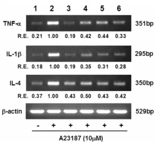 Fig. 1. Semi-quantitiative RT-PCR analysis of the effect of selected polyphenols on the pro-inflammatory cytokine gene expression in A23187-stimulated RBL-2H3 cells