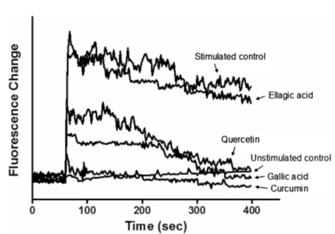 Fig. 3. Fluorescence assay of the effect of selected polyphenols on the cellular Ca 2+  responses using Fluo-3AM with a confocal microscopic fluorometric imaging in A23187-stimulated RBL-2H3 basophilic leukemia cells.