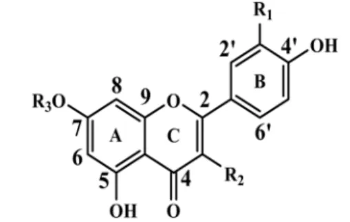 Table 1. Antioxidant activities (IC 50  values) of the isolated compounds from  S. oleraceus