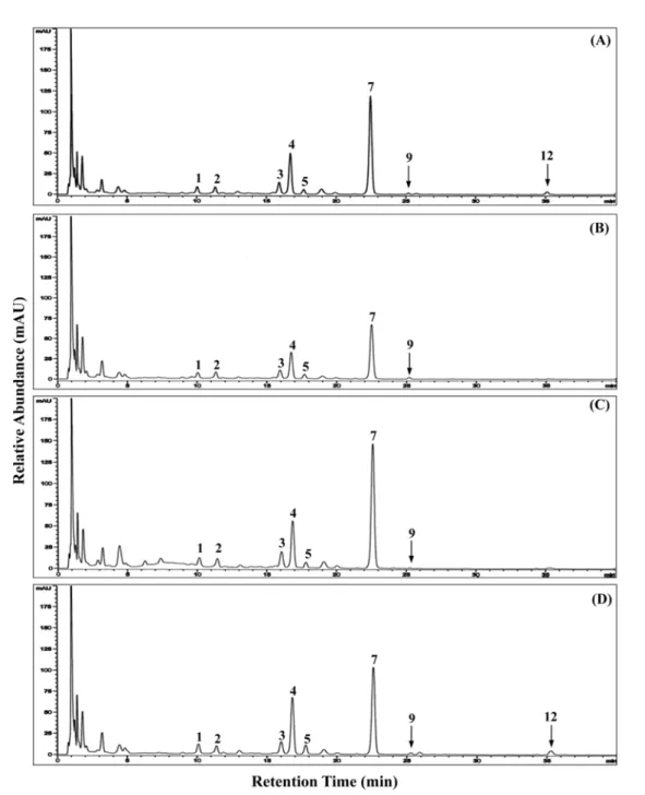 Fig. 3. HPLC chromatogram of 50% methanolic extracts from the vegetable soybean cultivars