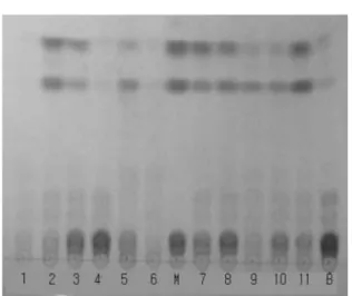 Table 1. TLC analysis of isoflavone glucoside hydrolyzing ability of the isolated strains