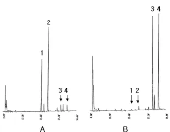 Table 2. Changes of isoflavone glucoside and their aglycone contents after fermentation of soybean with the isolated strains