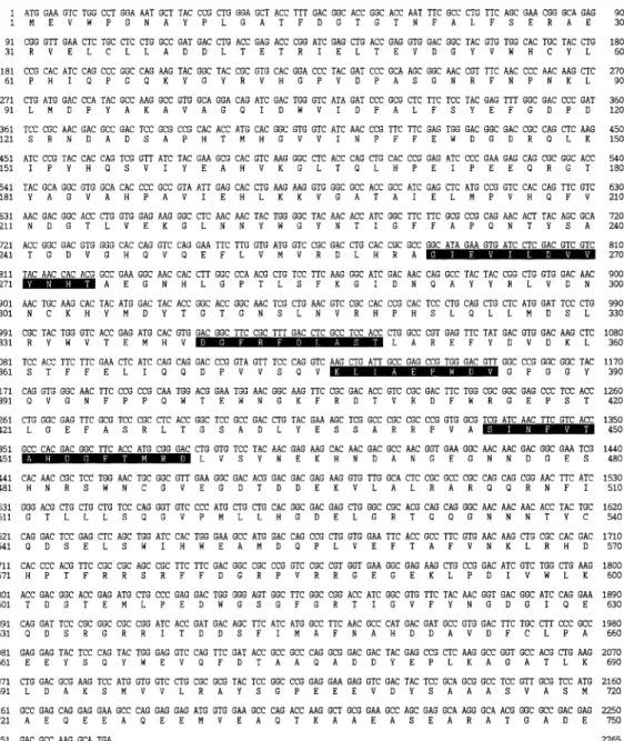 Fig. 2. Complete nucleotide sequence and the deduced amino acid sequences of the ORF of bvtreX gene