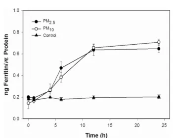 Fig. 2. Effect of PM on induction of ferritin synthesis in human lung epithelial A549 cells