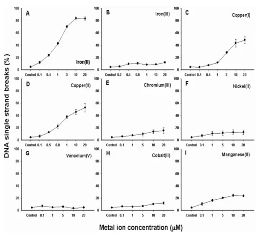 Fig. 5. Effect of transition metals for the induction of DNA single strand break.  φX 174 RF I DNA (0.5 µg) was  incu-bated with 75  µM hydrogen peroxide and 1  µM  of each  transi-tion metal