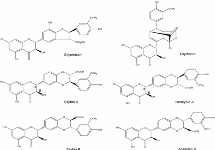 Fig. 1. The main bioactive constituents in silymarin.