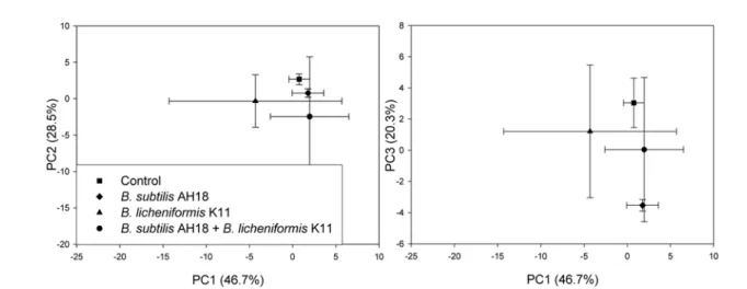 Fig. 1. Ordinate plot from principal component analysis of phospholipid fatty acids extracted from soil inoculated with antifungal antagonists.