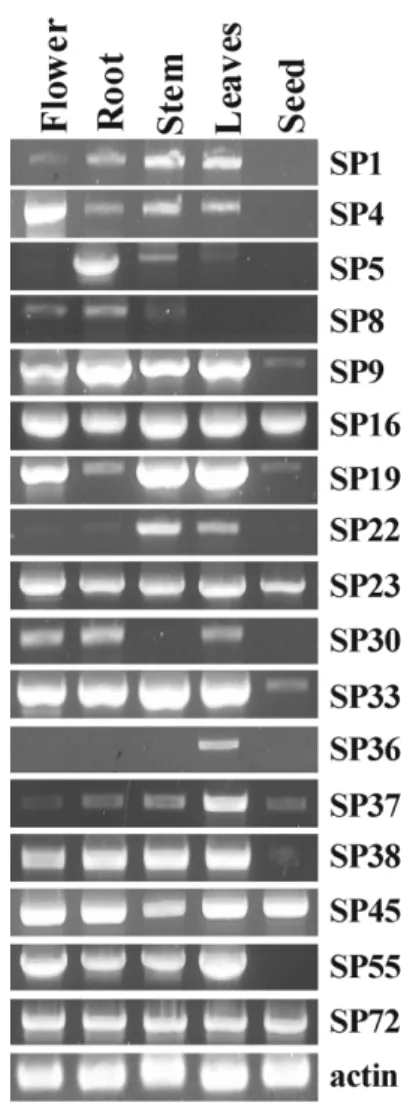 Fig. 3. Tissue specific expression of soybean P450 genes.