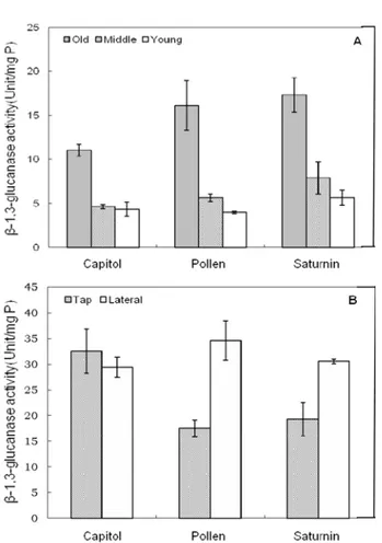 Fig. 1. Pattern of chitinase activity in different tissues of three oil seed rapes (Capitol, Pollen and Saturnin) seedling