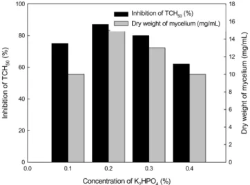 Fig. 6. Effects of K 2 HPO 4  concentrations on mycelium growth and anti-complement activity