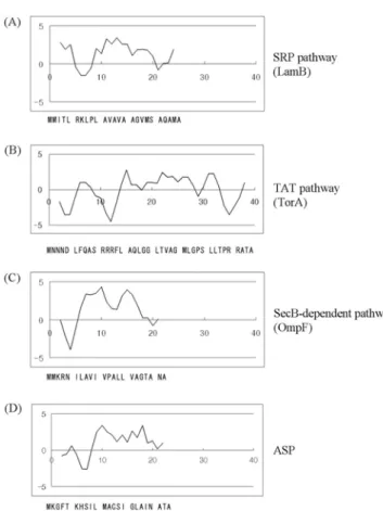 Fig. 3. Hydropathy plots of each signal peptide of type II secretion pathway and ASP by Kyte-Doolittle scale [Kyte and Doolittle, 1982]