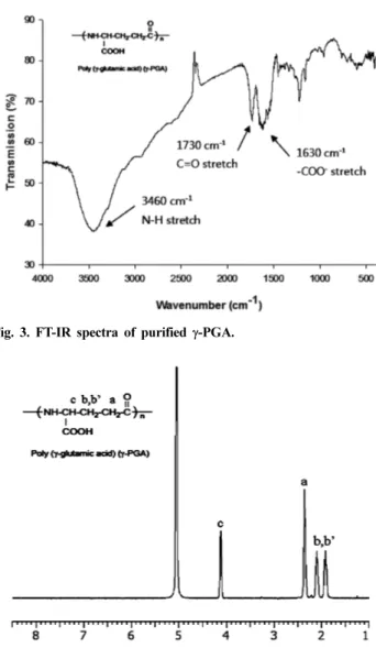 Fig. 3. FT-IR spectra of purified γ-PGA.