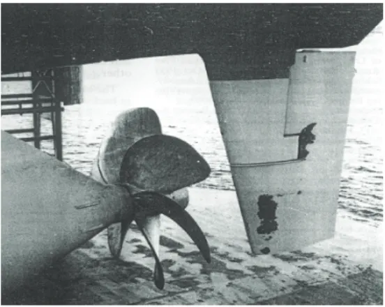 Fig.  1  Typical  profile  of  the  rudder  erosion