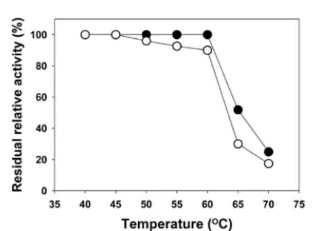 Fig. 1. Effects of reaction temperature and pH on the mannanase activity.  Temperature profile (- ○ -) was obtained by measuring the mannanase activities at pH 6.0 and different temperatures