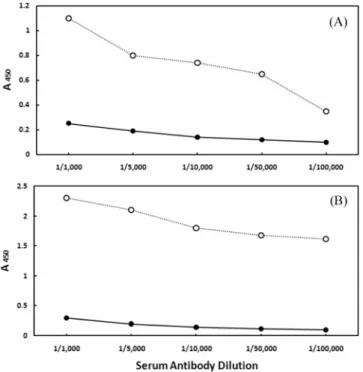 Fig. 2.  ELISA binding graph of rabbit anti-flatfish Vtg polyclonal antibodies. (a) Carp control serum and serum induced with 17 β  -estradiol