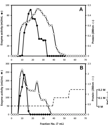 Fig. 1 Purification of a glucosyltransferase from Streptococcus mutans Ingbritt on Sephadex G-150 colum (A) and CM-Sephadex colum (B).