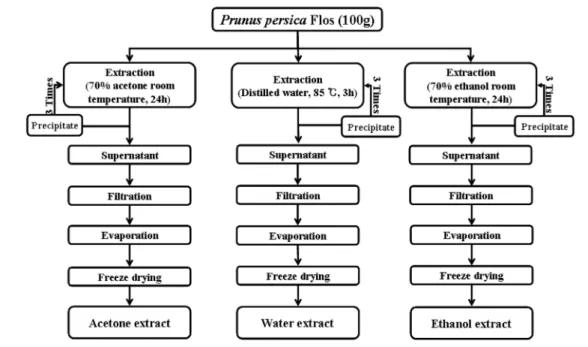 Fig. 1. The procedure for extraction from Prunus persica Flos.