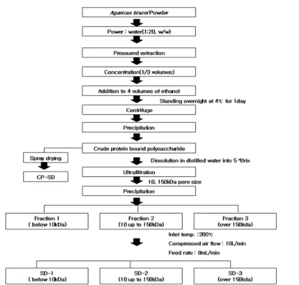 Fig. 1. Procedures for the extraction, separation and powder of crude protein binding polysaccharide from  A