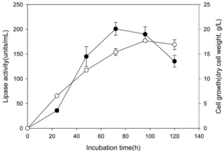 Fig. 1. Time-dependent lipase production by  Y. lipolyt- lipolyt-ica  NRRL Y-2178.  Lipase activity (closed circle) and cell growth (open circle) were determined in 24-h intervals for 5 days
