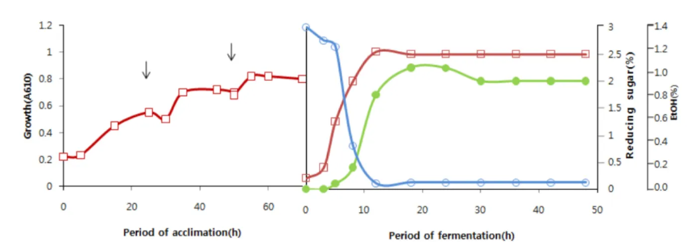 Fig. 1. Ethanol production on galactose (3%) by S. cerevisiae No. 9 after acclimation on galactose