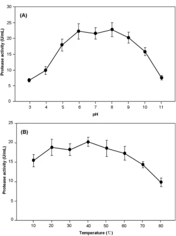 Fig. 1. Effect of reaction pH (A) and temperature (B) on activity of protease produced by E