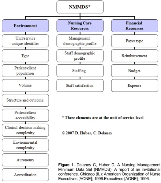 Figure 1. Delaney C, Huber D. A Nursing Management  Minimum Data Set (NMMDS): A report of an invitational  conference