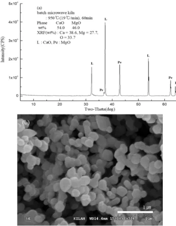 Fig. 4. (a) XRD patterns and (b) SEM images of the calcined dolo- dolo-mite samples at microwave kiln (950 o C, 60 min), DS.