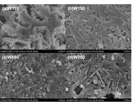 Fig. 7. Photographs of dried and calcined catalyst samples prepared without washing.