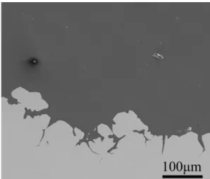 Fig. 1. Cross-sectional image of stainless steel in transpassive state