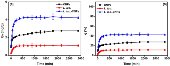 Fig. 17. Effect of adsorption time on DEP adsorption of [A] adsorption capacity and [B] removal efficiency.