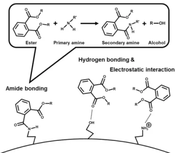 Fig. 10 은 CNPs, L. lac., L. lac.-CNPs의 다양한 흡착제 농도 조 건 하에서 DBP의 제거 효율에 대한 흡착제 농도의 영향을 확인한 결과이다
