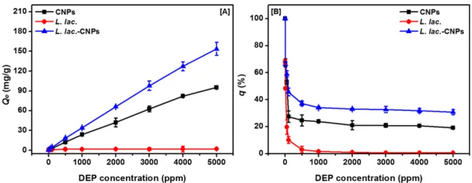 Fig. 13. Effect of initial DEP concentration on DEP adsorption of [A] adsorption capacity and [B] removal efficiency.