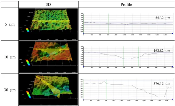 Fig.  6  3D  microscopic  image  analysis  after  hybrid  experiment  with  amplitude  for  6061-T6  Al  alloy  in  seawater.