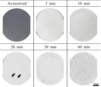 Fig.  2  3D  analysis  and  surface  damage  depth  after  cavitation experiment  at  amplitude  of  5  ㎛ in  sea  water.