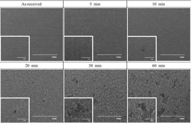 Fig.  3  Surface  morphologies  after  cavitation  experiment  at  amplitude  of  5  ㎛ in  sea  water.