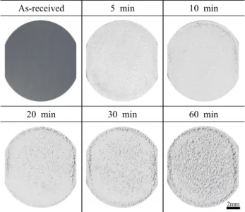 Fig.  5  Appearance  after  cavitation  experiment  at  amplitude  of  10  ㎛ in  sea  water