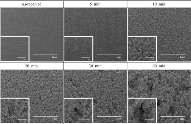 Fig.  7  Surface  morphologies  after  cavitation  experiment  at  amplitude  of  10  ㎛ in  sea  water.